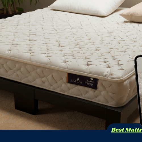 Latex Everynight Latex Mattress Futon